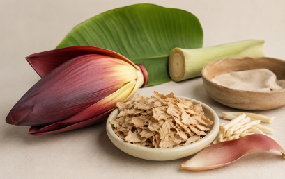 Dr. Ali Jibreen published a paper titled “Banana Blossom as a Novel Ingredient in The Zero Waste Strategy: Application in Flakes”